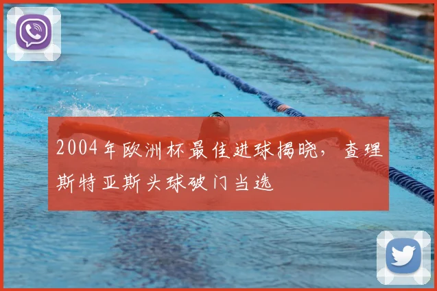2004年欧洲杯最佳进球揭晓，查理斯特亚斯头球破门当选