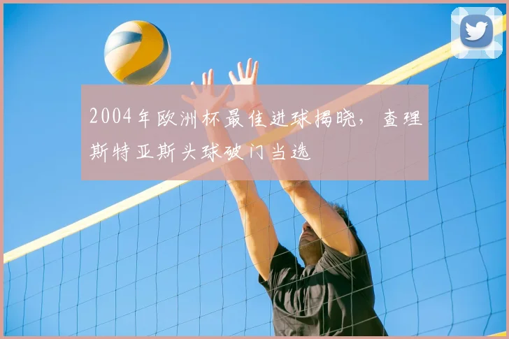 2004年欧洲杯最佳进球揭晓，查理斯特亚斯头球破门当选