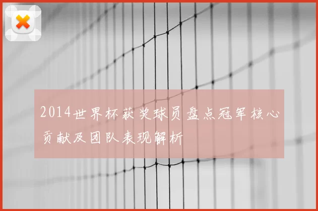 2014世界杯获奖球员盘点冠军核心贡献及团队表现解析