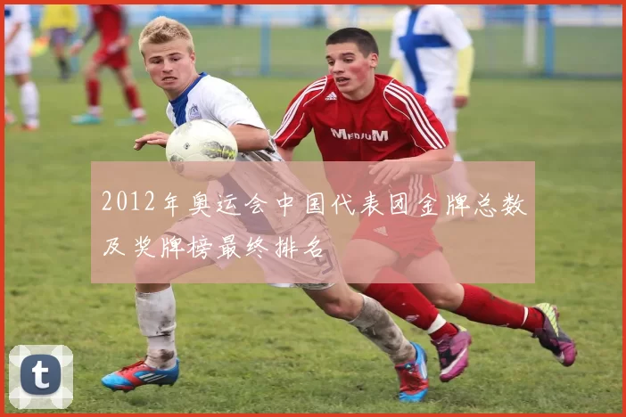 2012年奥运会中国代表团金牌总数及奖牌榜最终排名